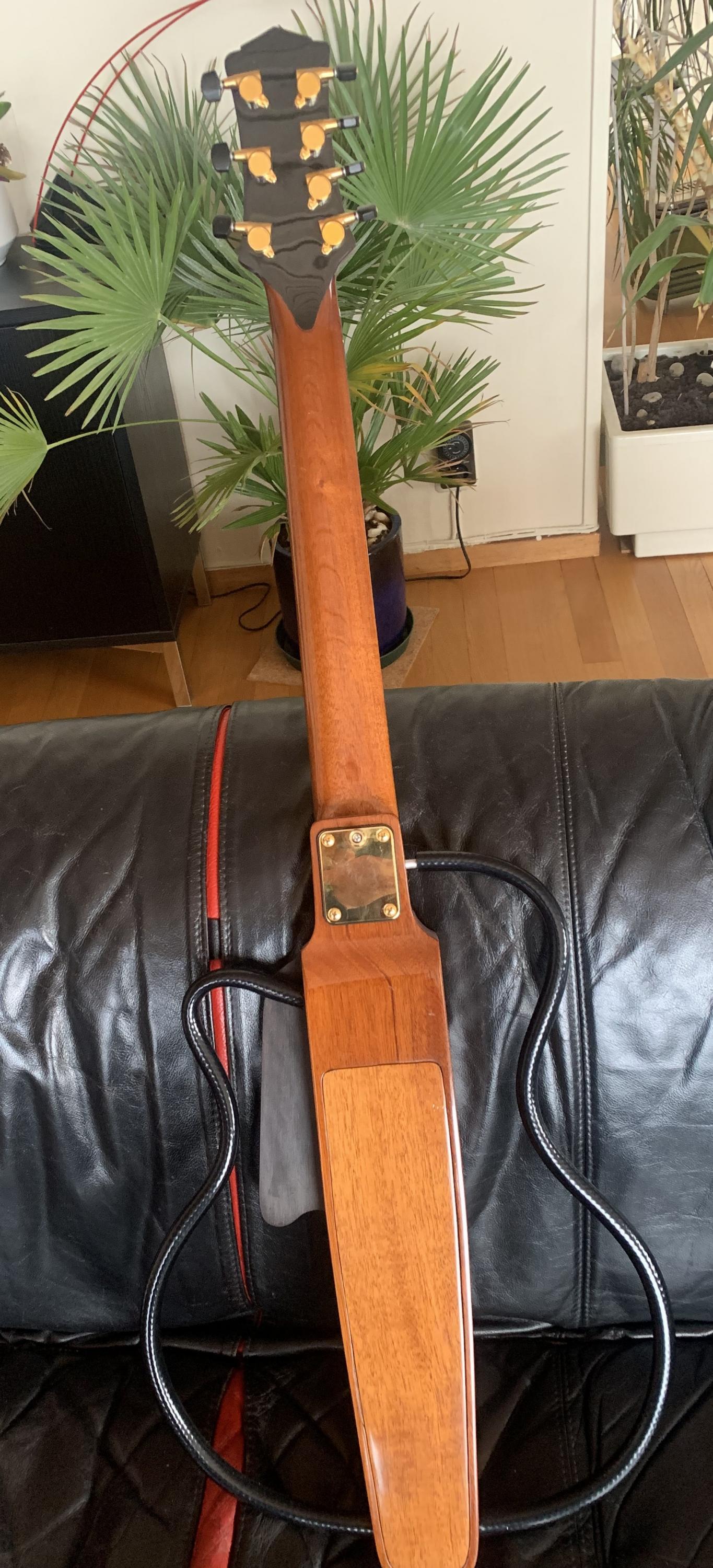 Dupaquier / Foster, Bodyless 7-strengs guitar-img_1170-002-jpg