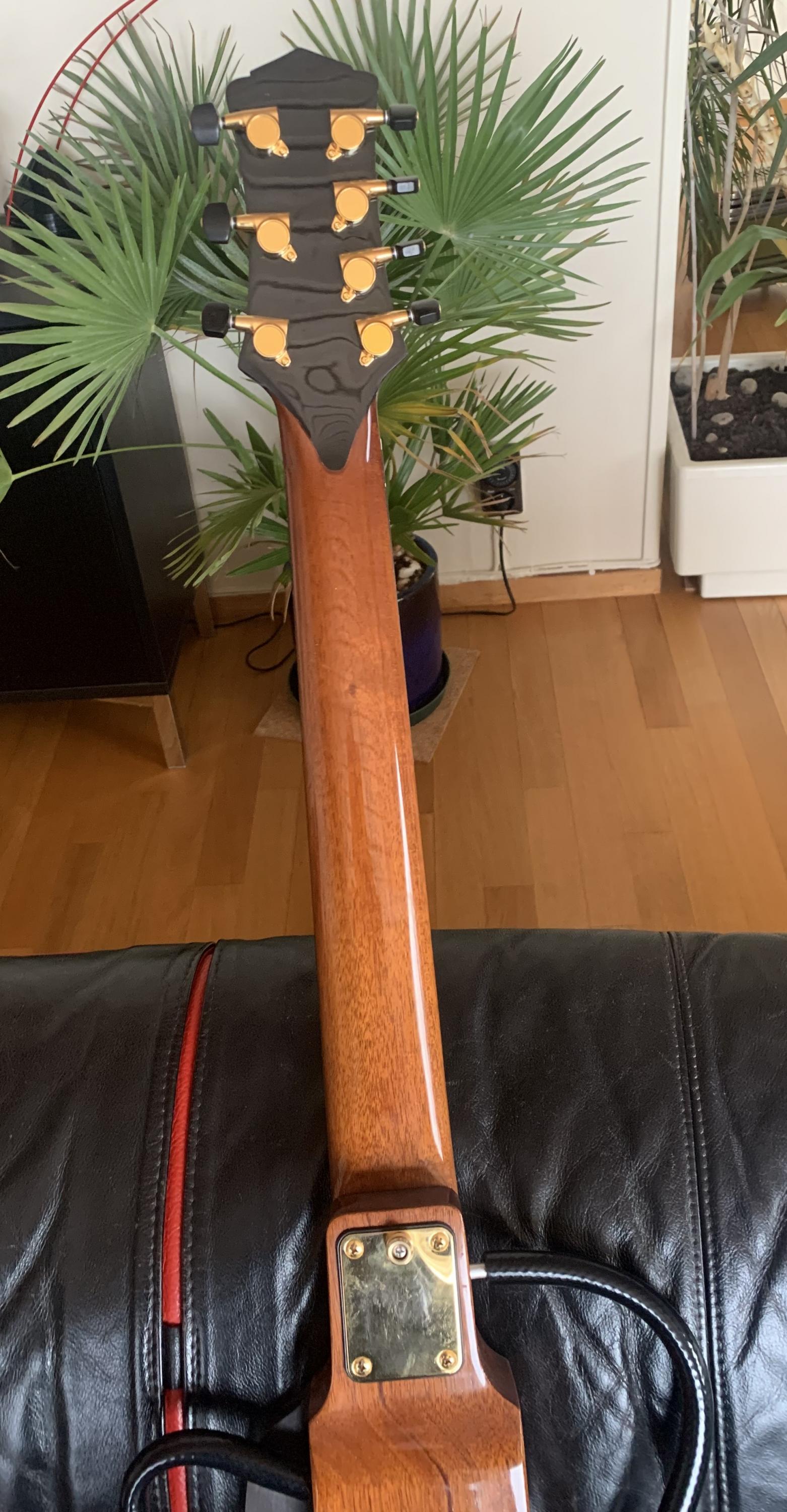 Dupaquier / Foster, Bodyless 7-strengs guitar-img_1173-002-jpg