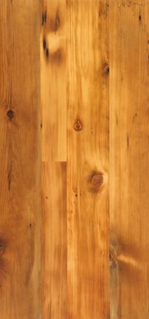 Eastman El Rey 4-rc_pine-white_-nat-p-sm-jpg