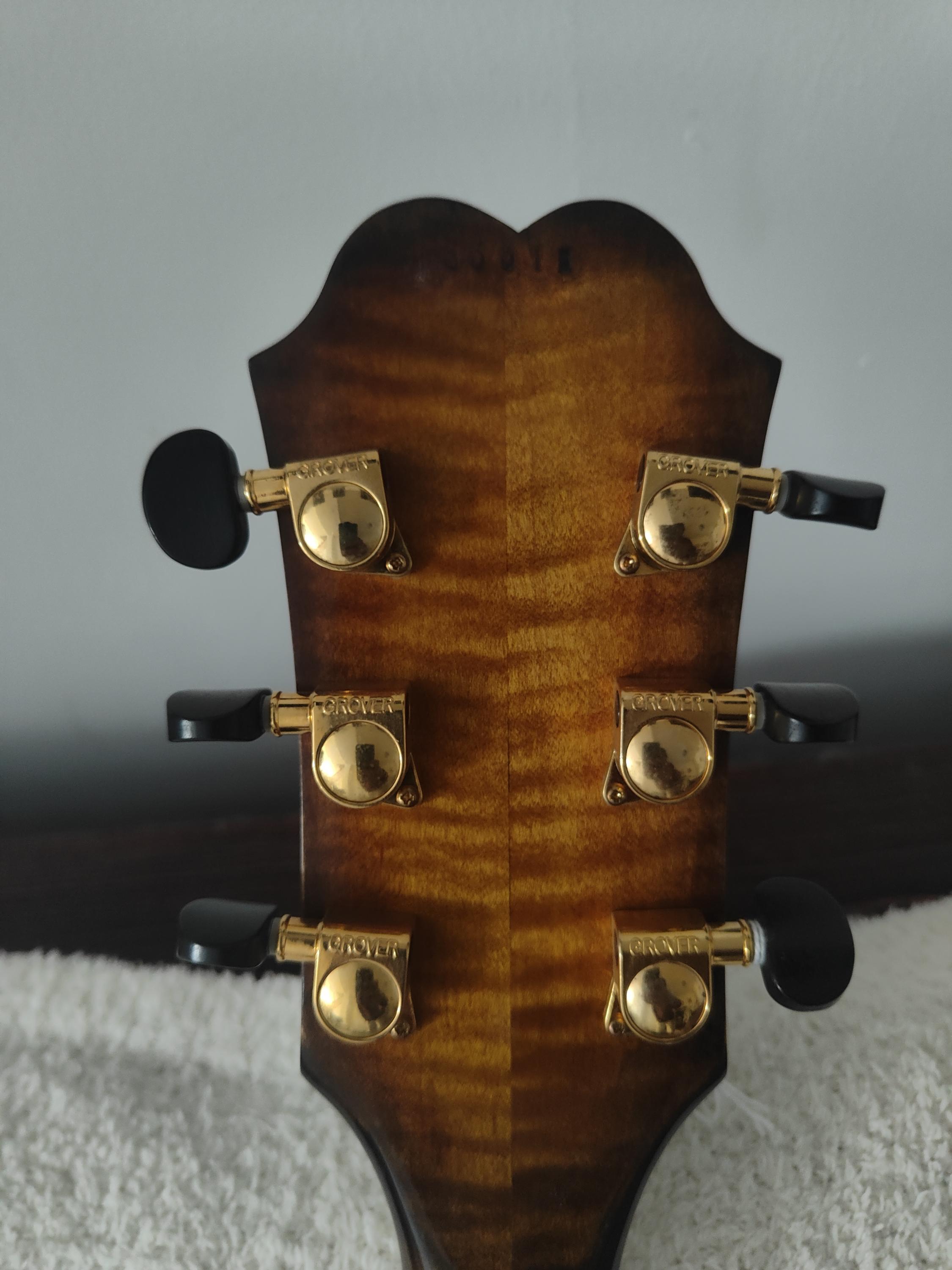 Rialto Bandmaster Archtop Guitar-img20260313141758-jpg