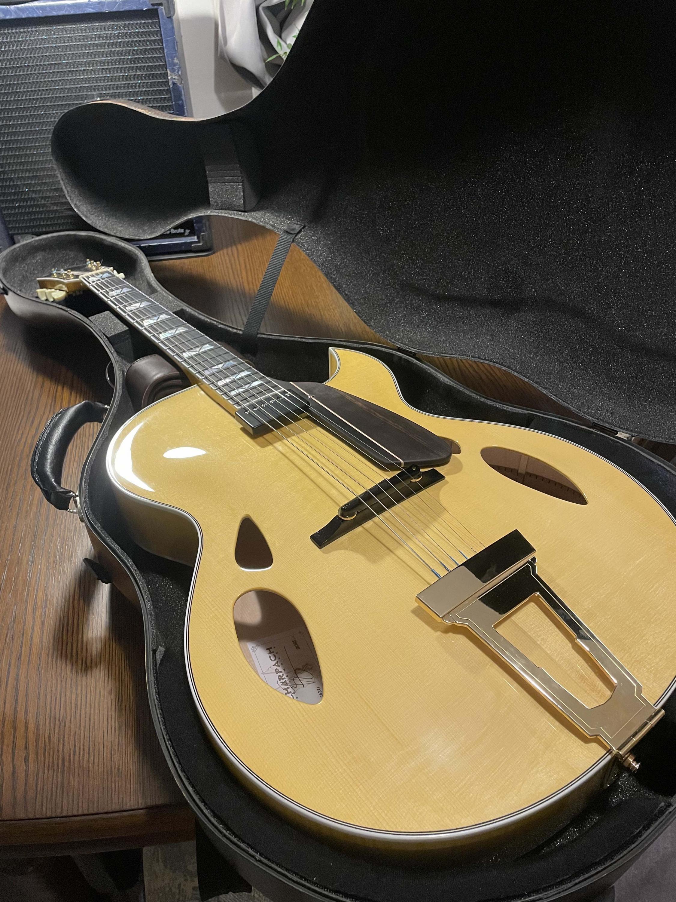 Theo Scharpach OpusG Acoustic Archtop - located in EU-scharpach-opusg-guitar-jpg