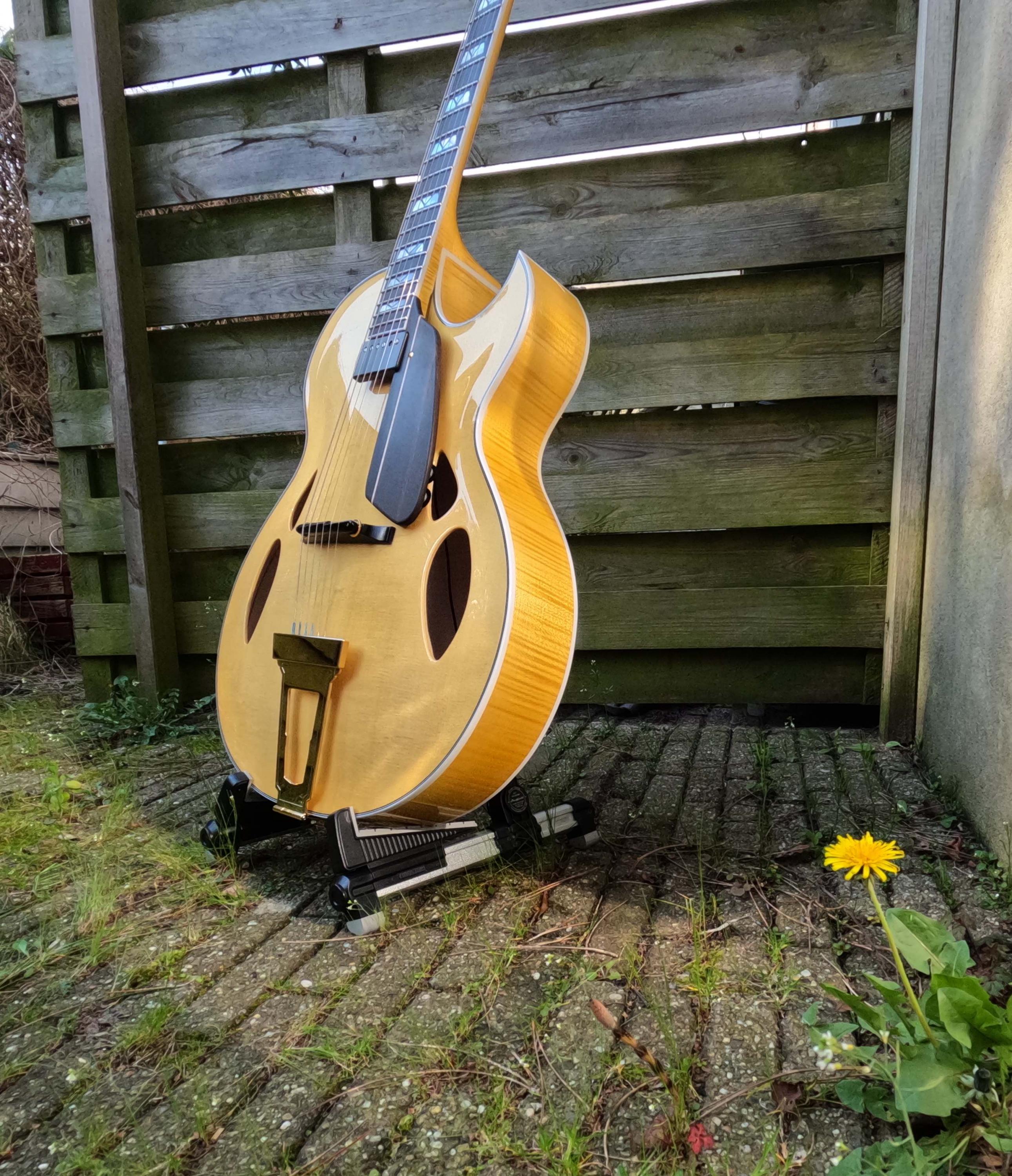 Theo Scharpach OpusG Acoustic Archtop - located in EU-gopr2157-jpg