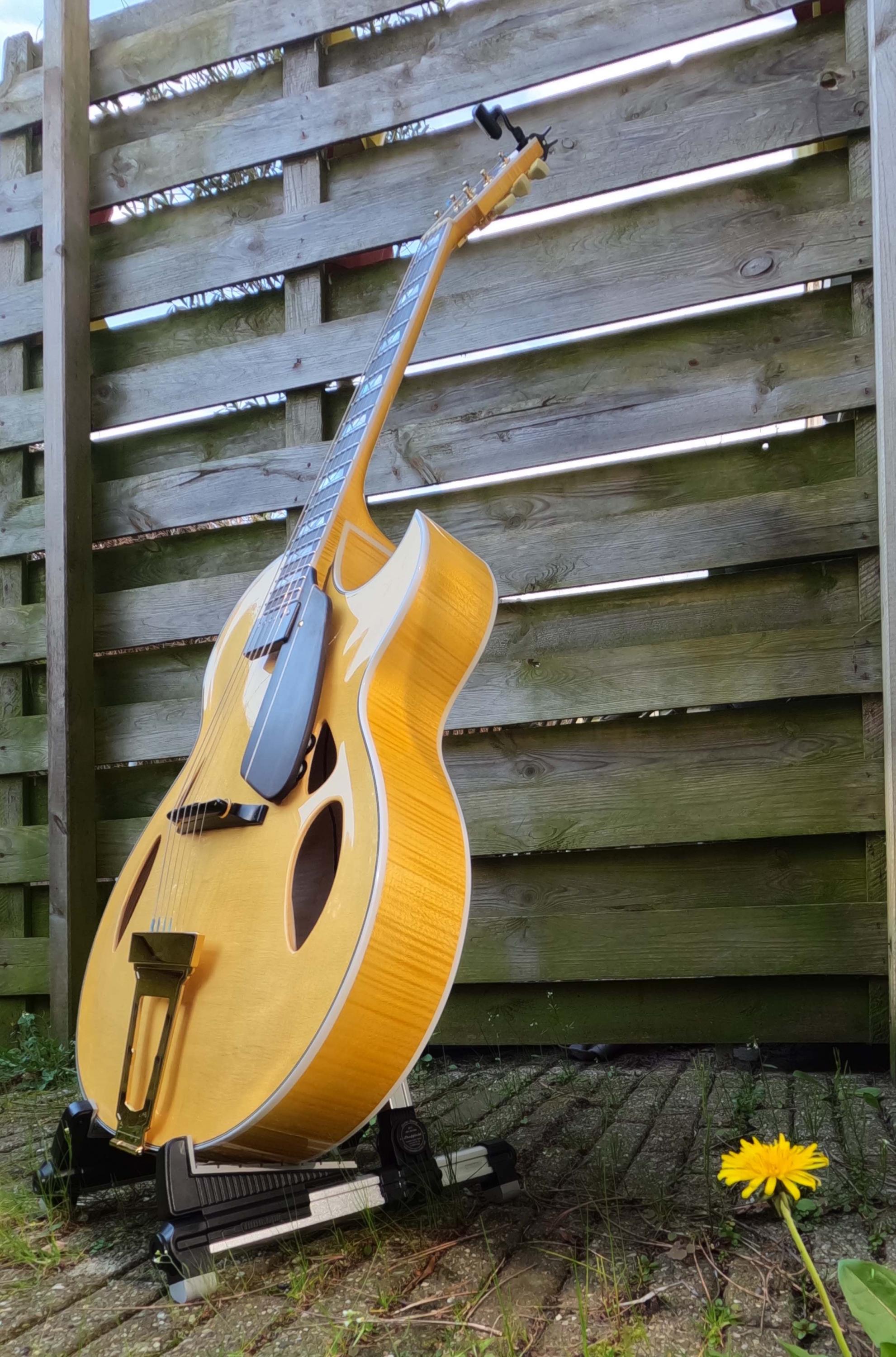 Theo Scharpach OpusG Acoustic Archtop - located in EU-gopr2159-jpg