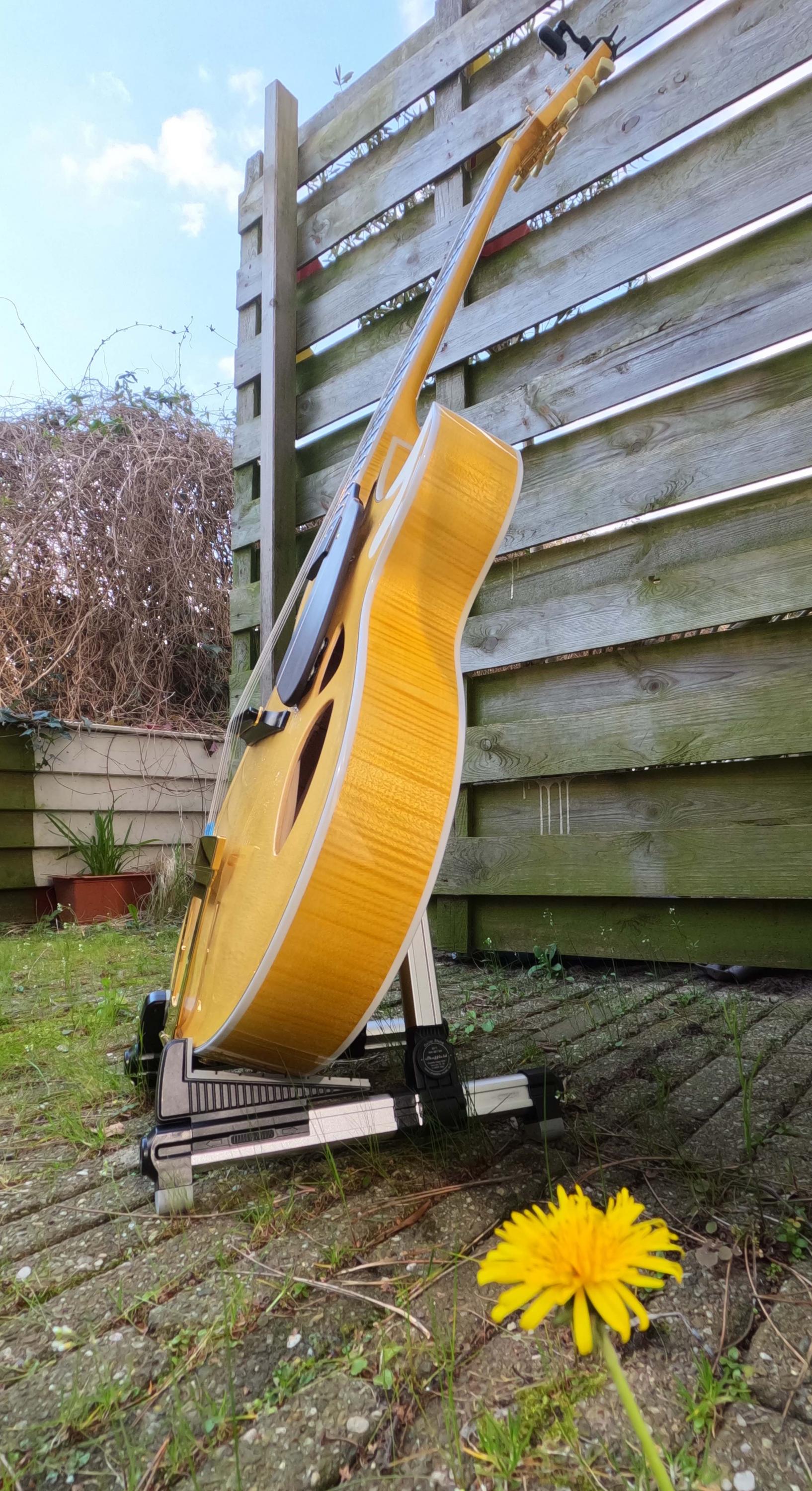 Theo Scharpach OpusG Acoustic Archtop - located in EU-gopr2160-jpg