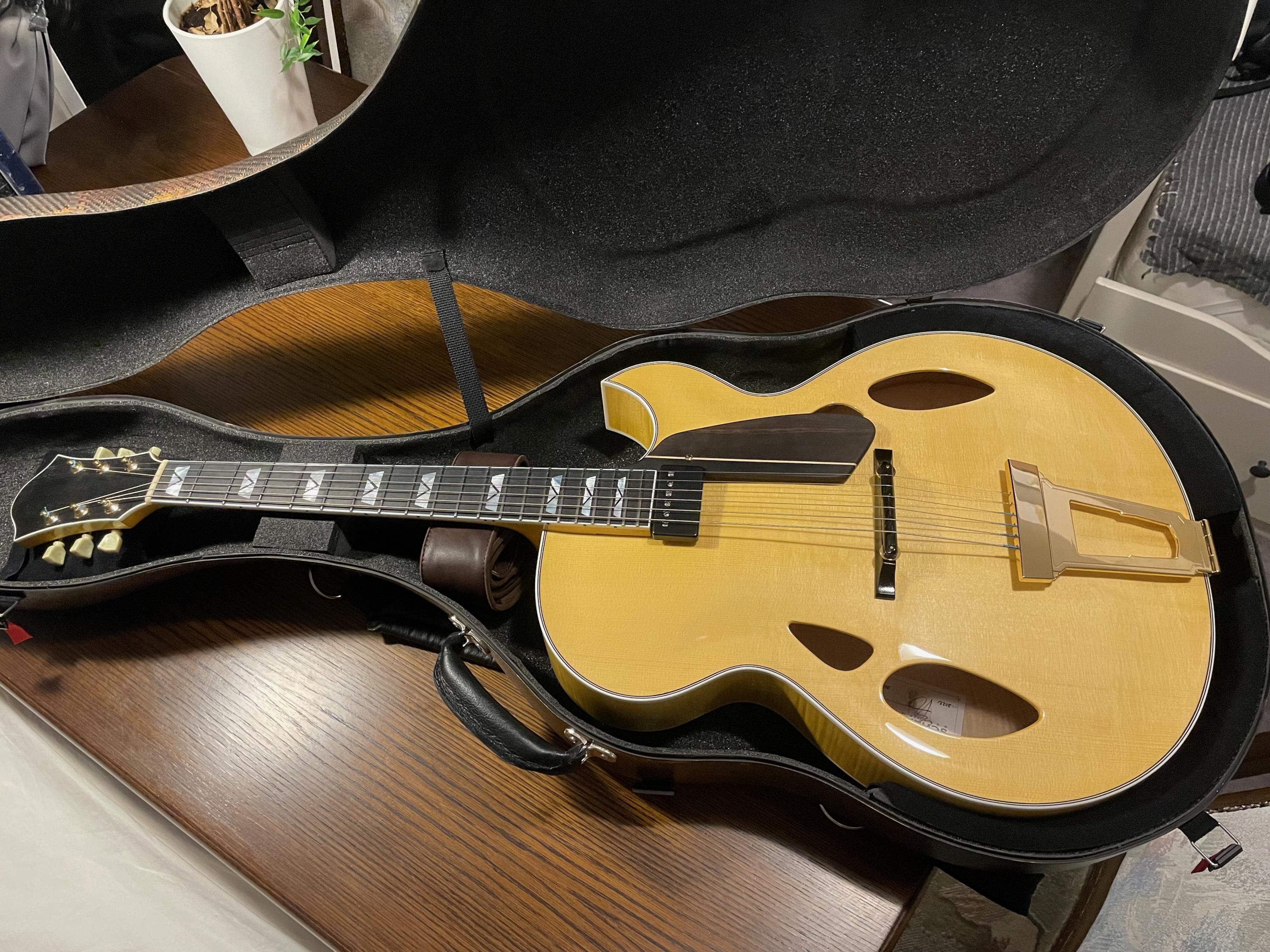 Theo Scharpach OpusG Acoustic Archtop - located in EU-opusg-case-1-jpg