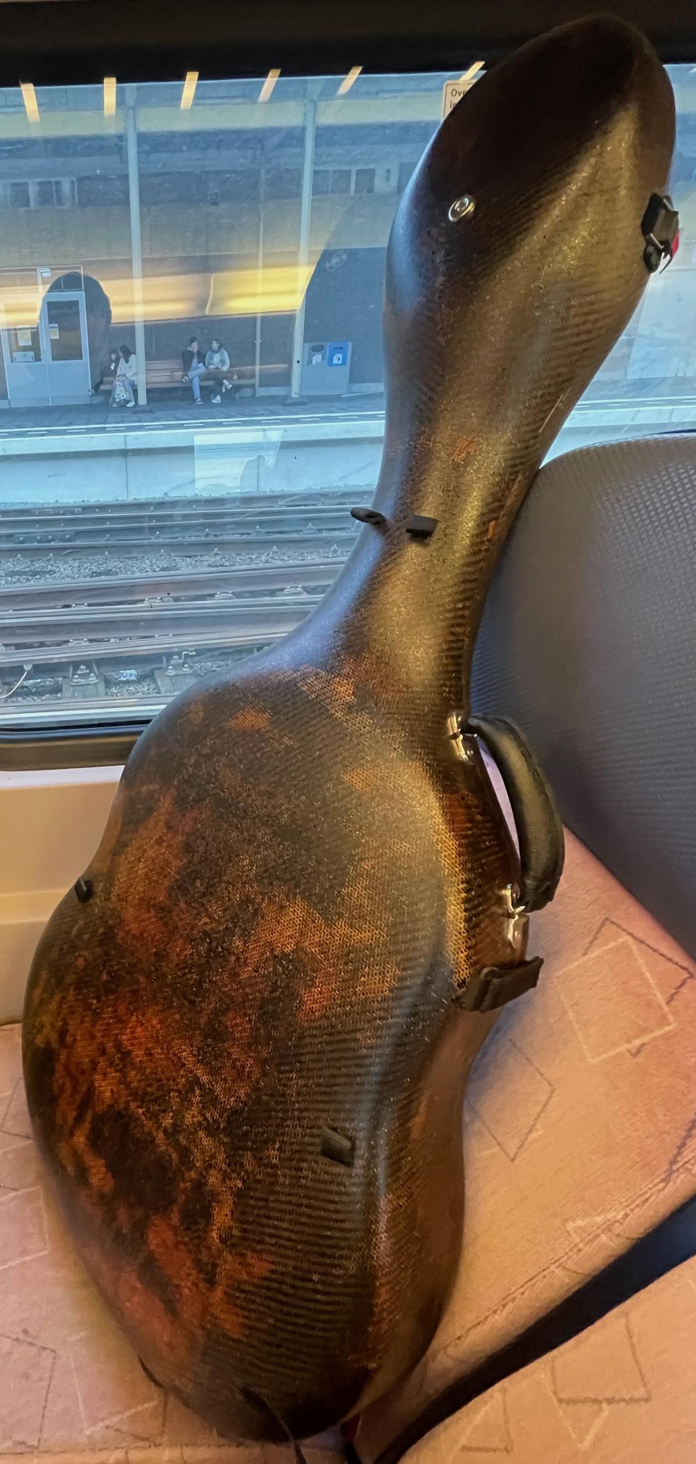 Theo Scharpach OpusG Acoustic Archtop - located in EU-opusg-case-4-jpg