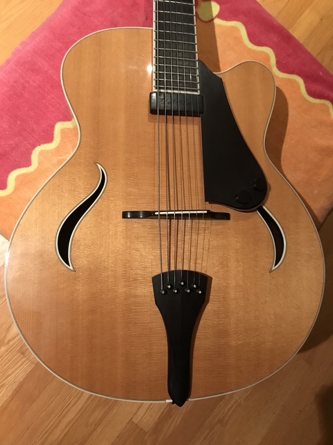 Dell'Arte custom 7-string archtop-img_1461-jpeg