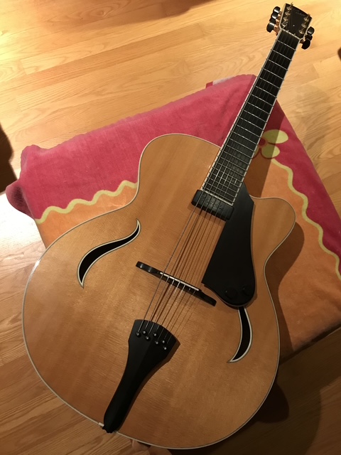 Dell'Arte custom 7-string archtop-img_1460-jpeg