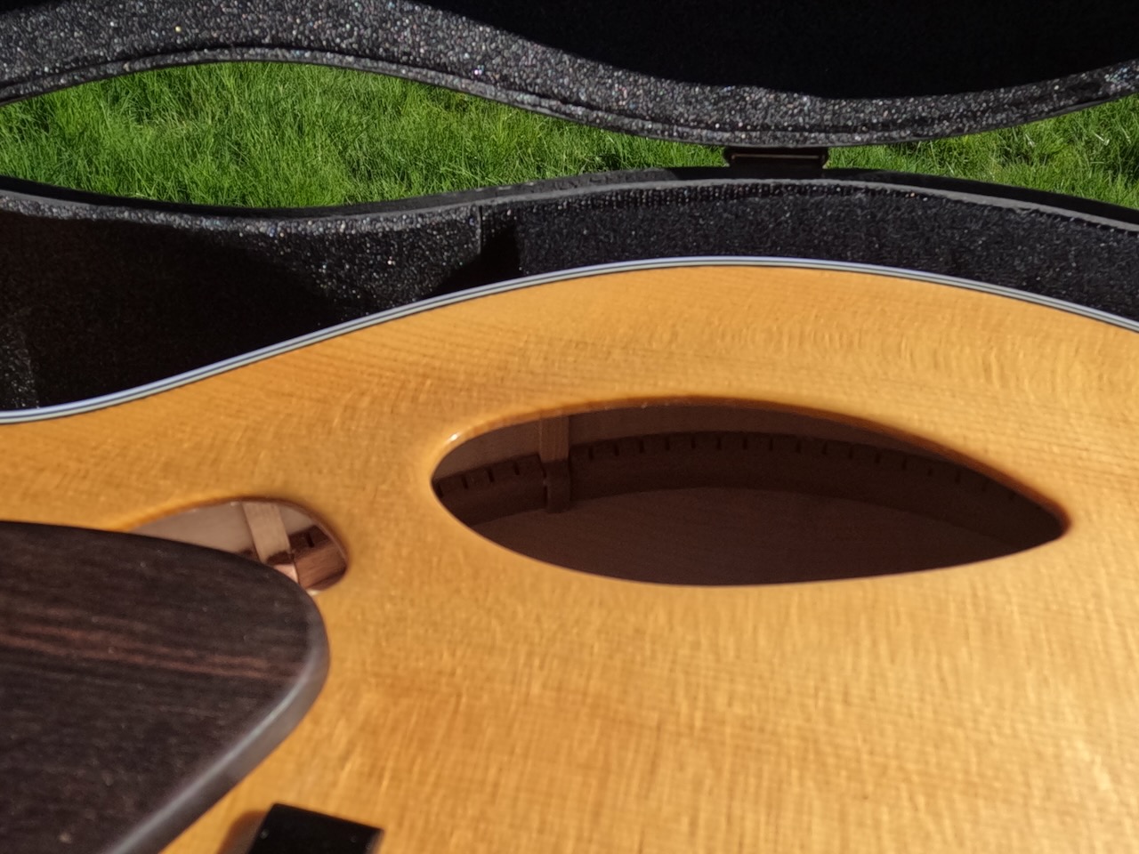 Theo Scharpach OpusG Acoustic Archtop - located in EU-scharpach-opusg-5-jpeg