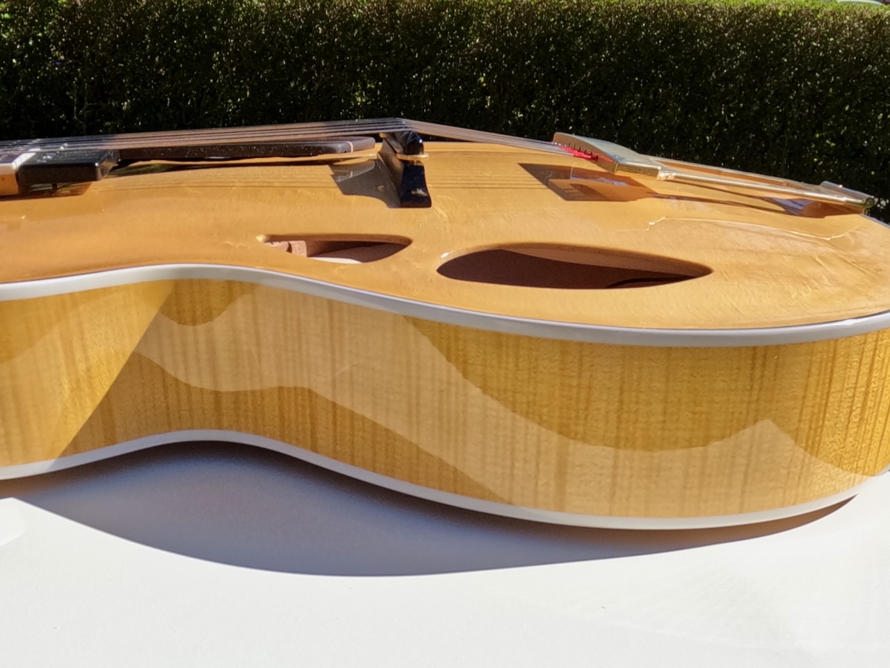 Theo Scharpach OpusG Acoustic Archtop - located in EU-scharpach-opusg-7-jpeg