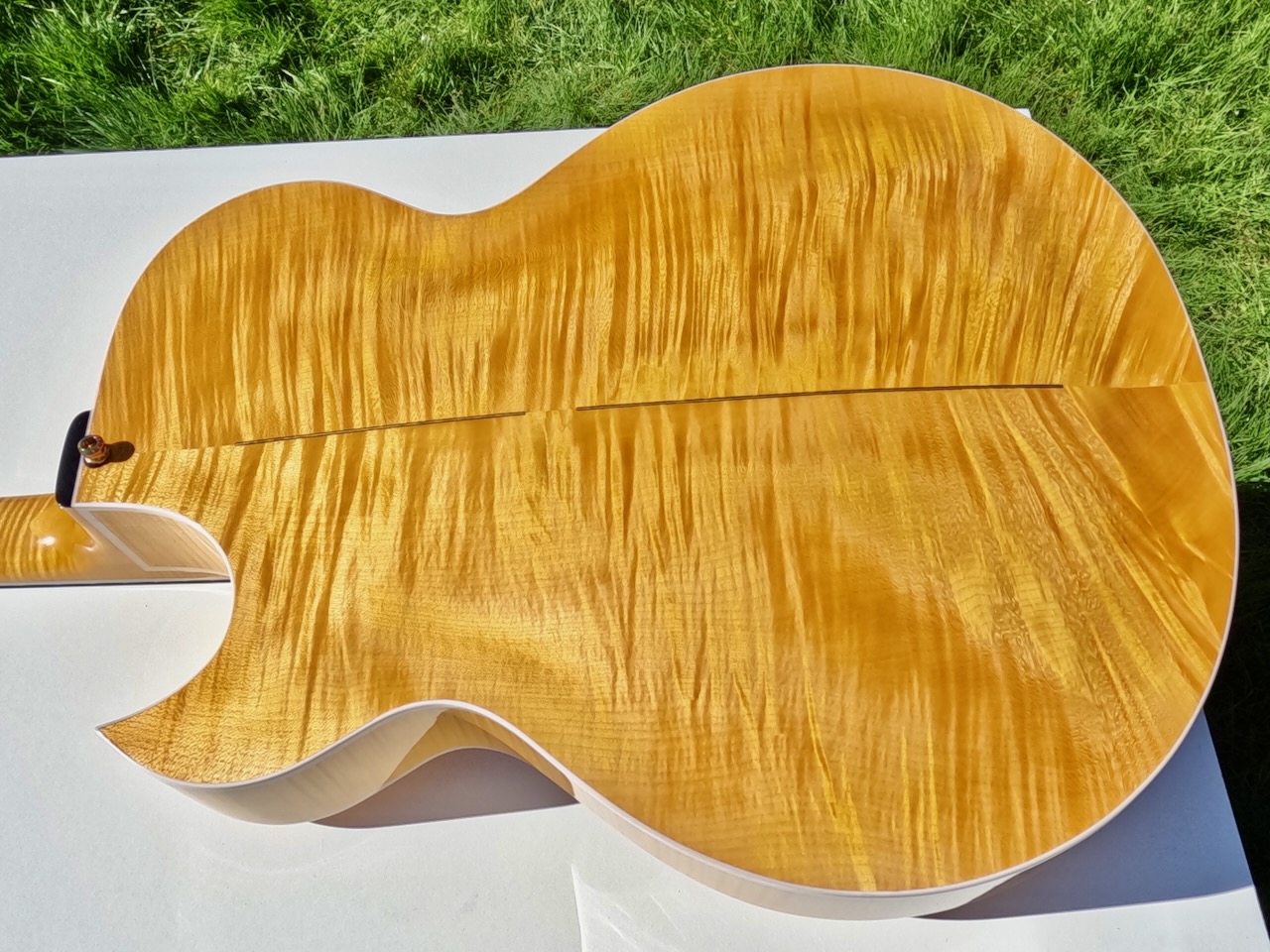 Theo Scharpach OpusG Acoustic Archtop - located in EU-scharpach-opusg-17-jpeg