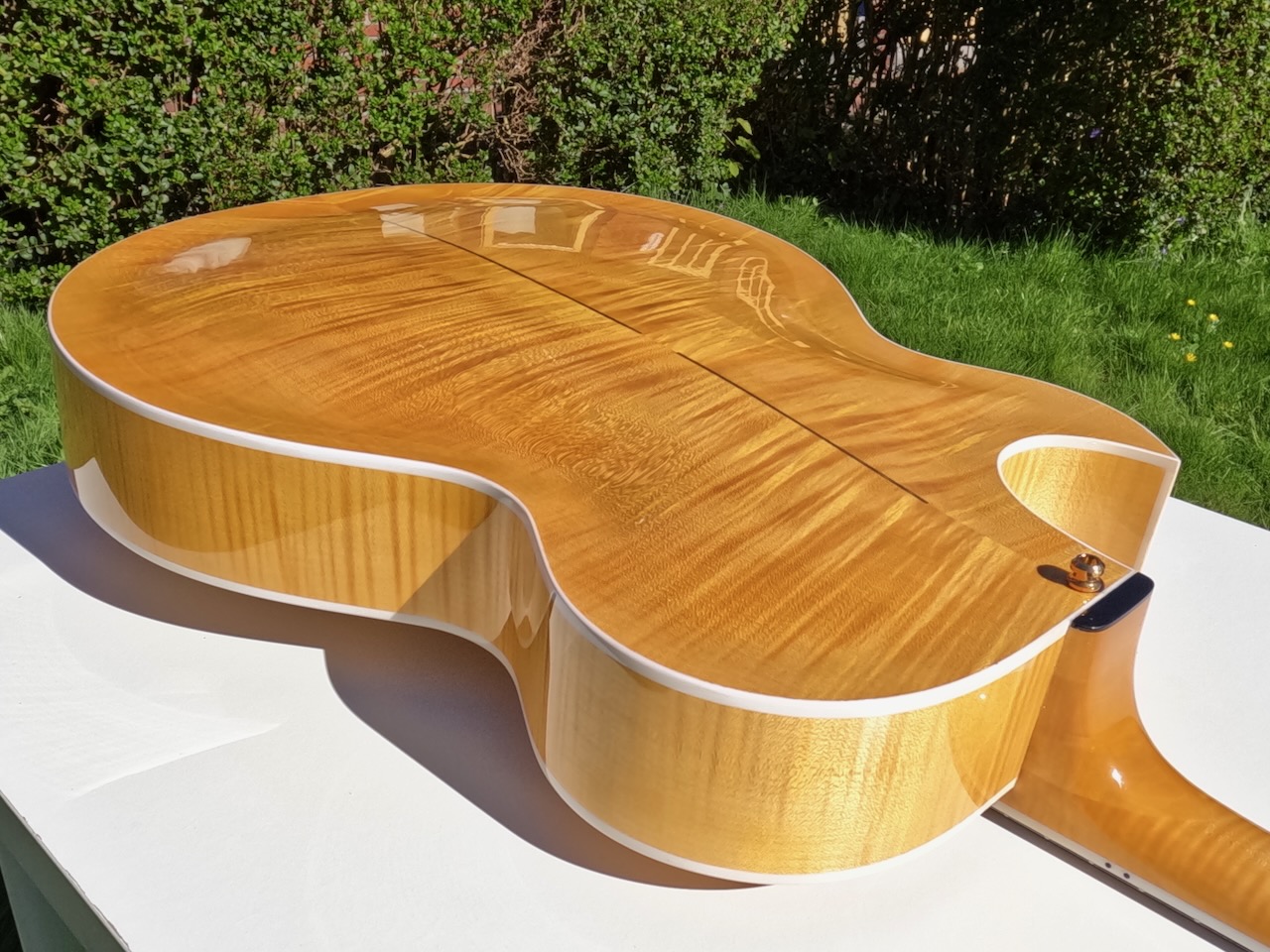 Theo Scharpach OpusG Acoustic Archtop - located in EU-scharpach-opusg-20-jpeg