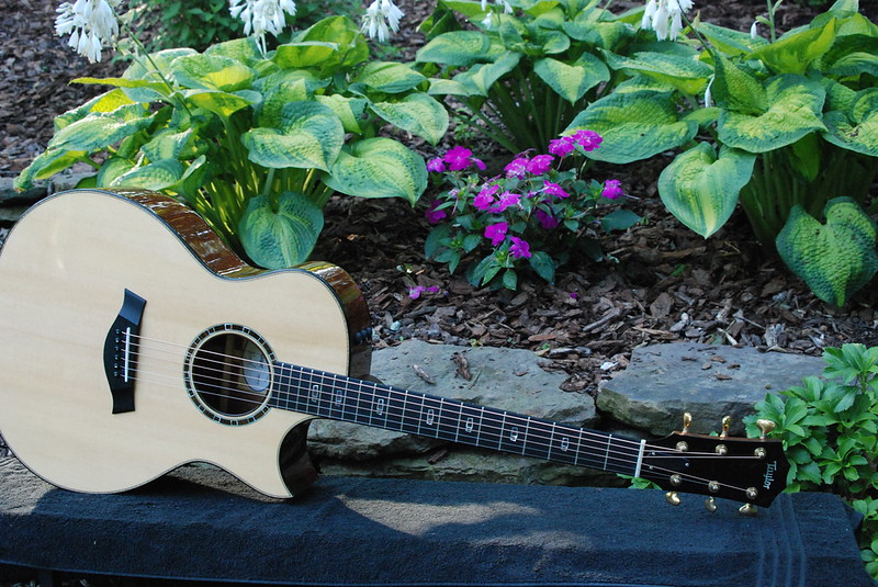 Taylor 514ce FM Ltd-t1-jpeg