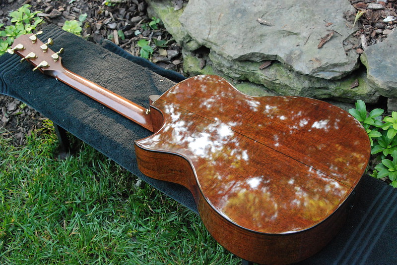 Taylor 514ce FM Ltd-t3-jpeg