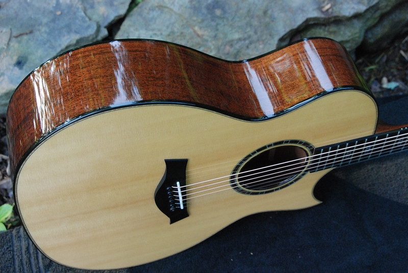 Taylor 514ce FM Ltd-t4-jpeg