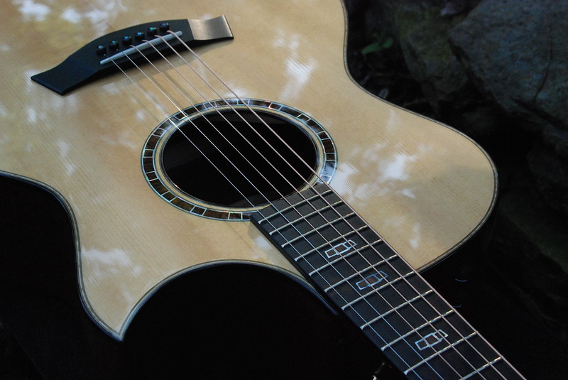 Taylor 514ce FM Ltd-t2-jpeg