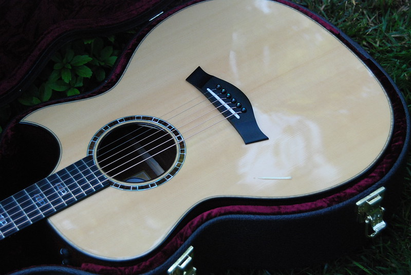 Taylor 514ce FM Ltd-t5-jpeg
