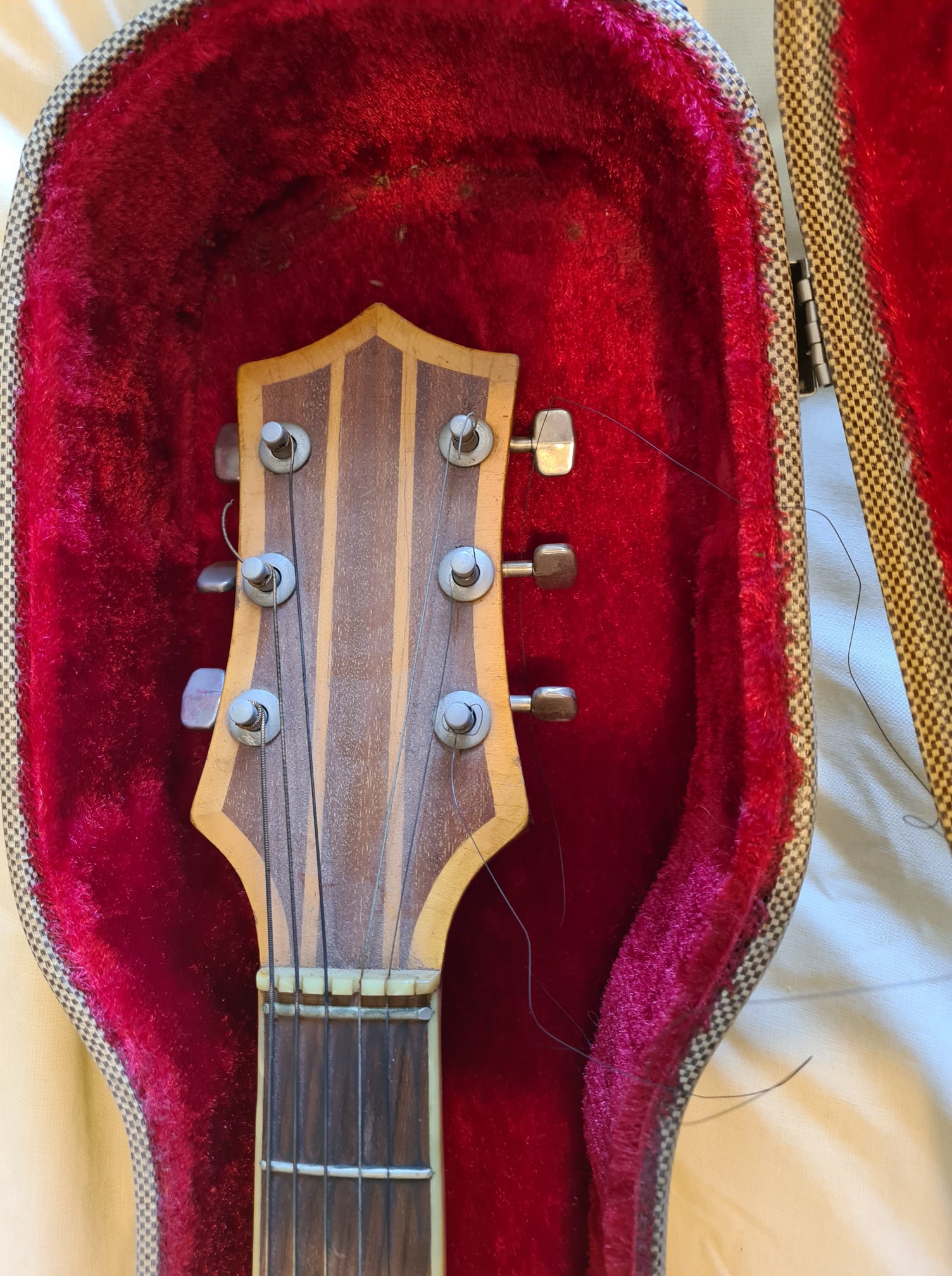 Time to move this guitar on - Huttl "Opus 59"-492043669_10236372246156865_3880307019815574509_n-jpg