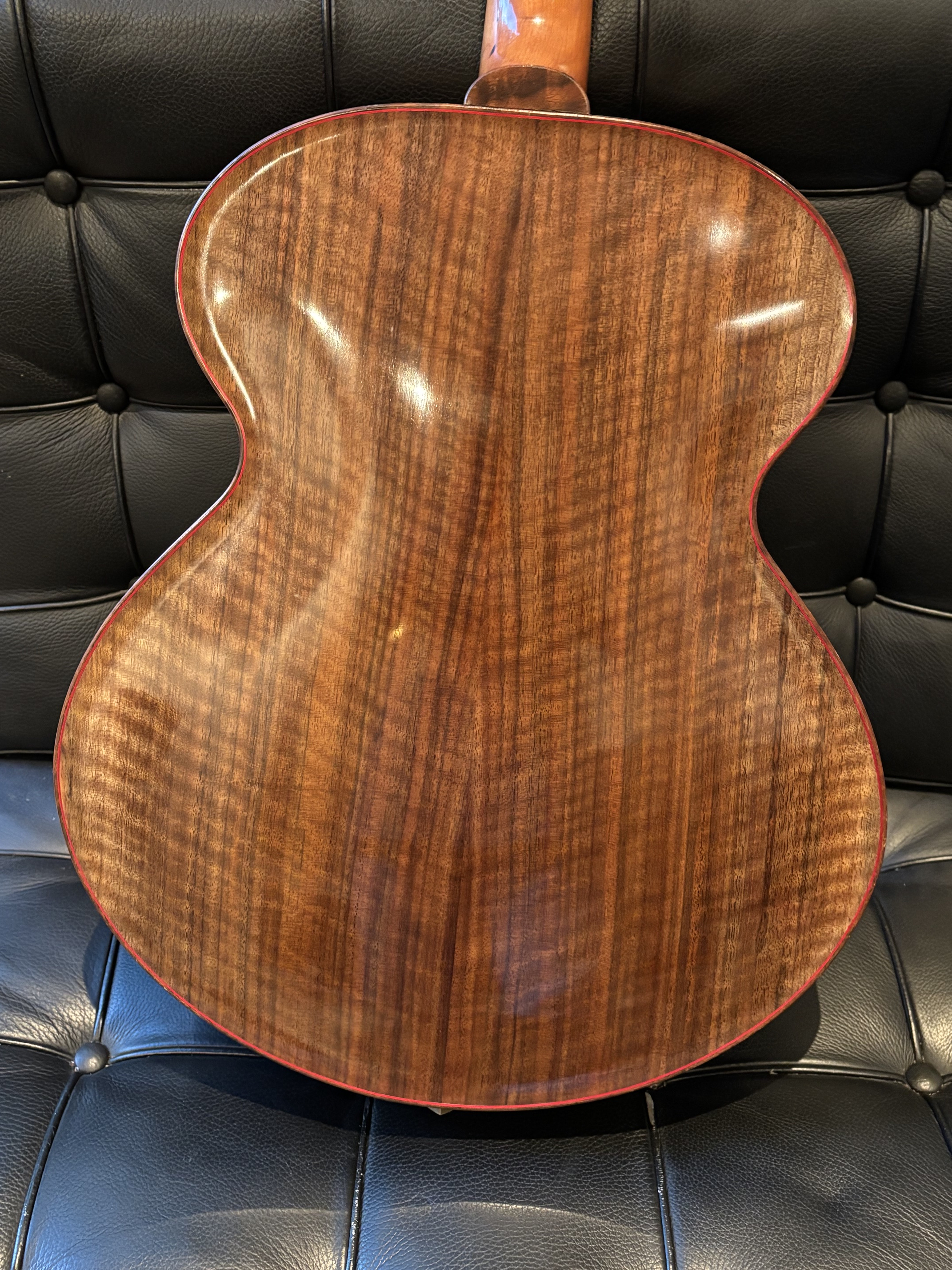 Solomon Phidelity 16" acoustic archtop w/ Bartolini pickup-4-solomon-phidelity-pc_8011-jpg
