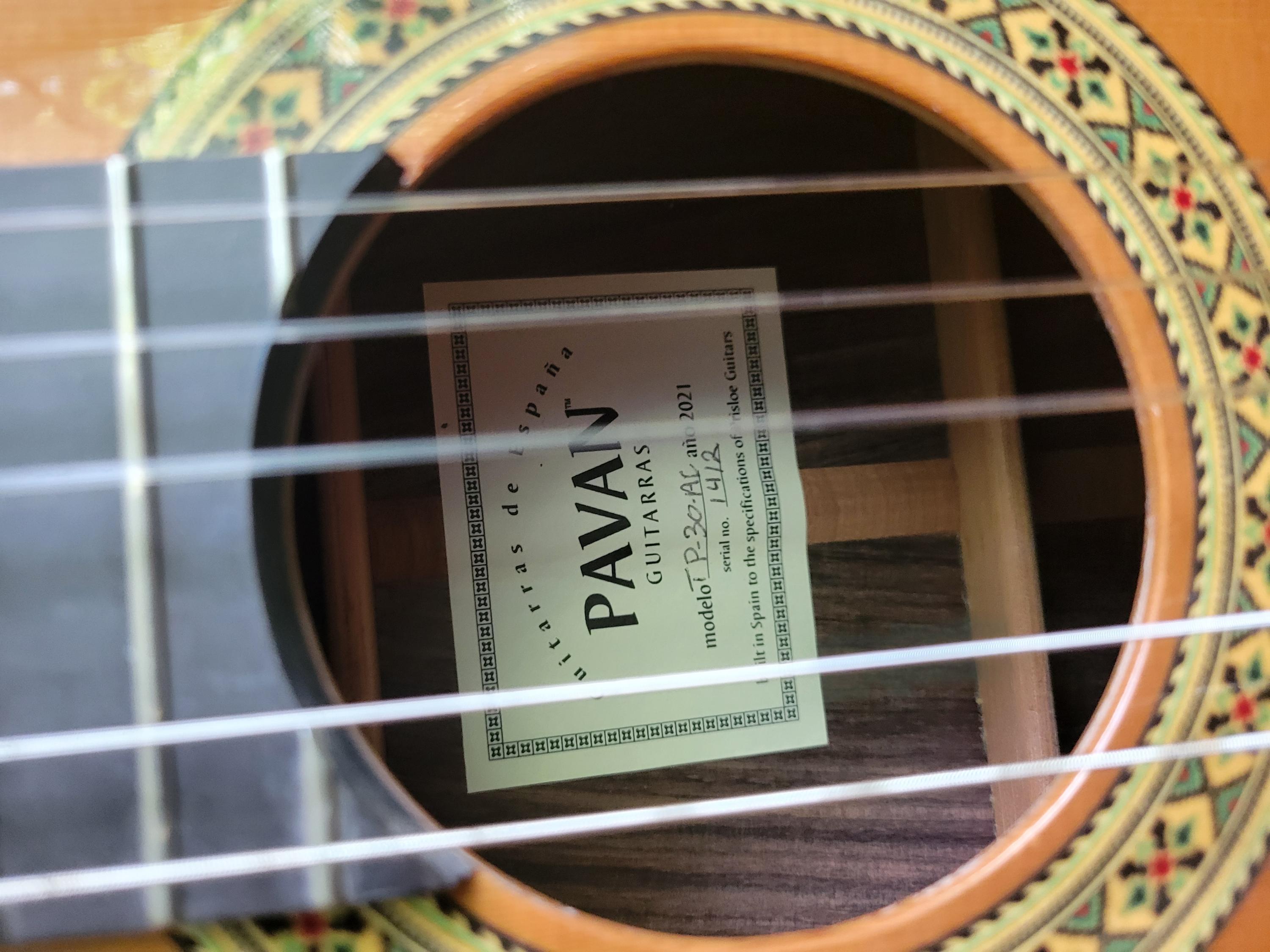 Pavan TP-30 AC - cutaway Classical.....-20260617_115224-jpg
