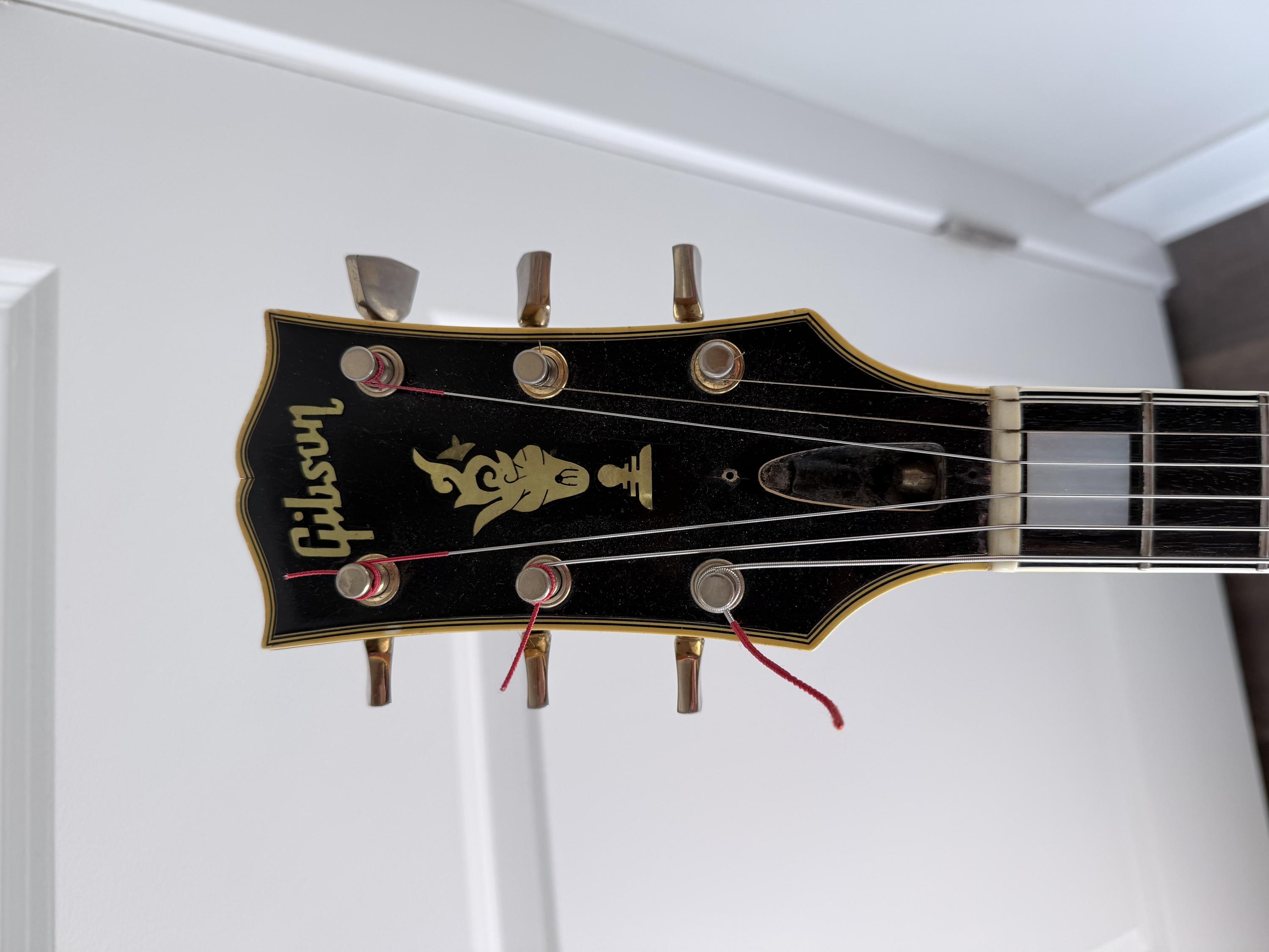 1969 byrdland for sale in Chicago-img_1803-jpg
