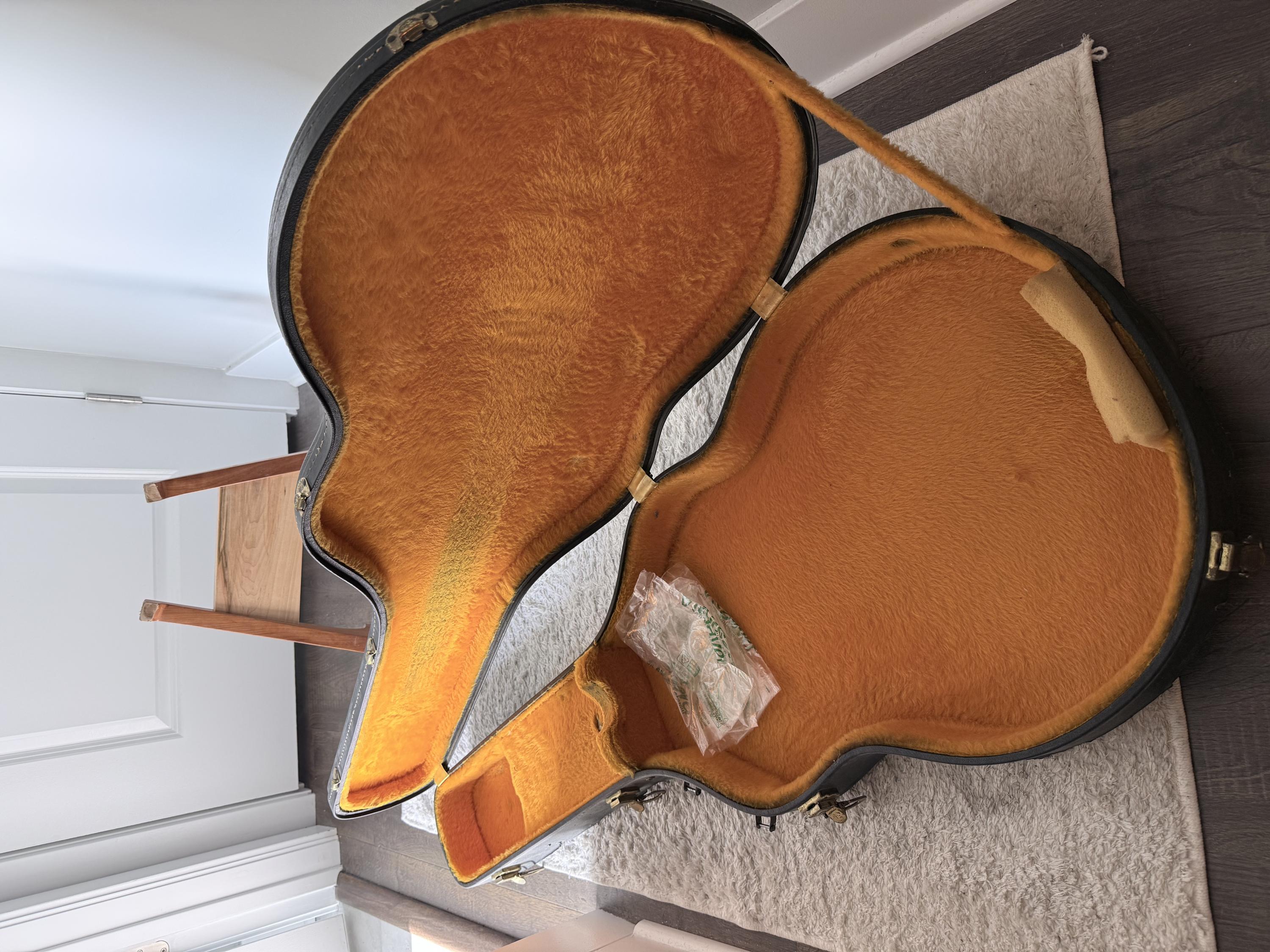 1969 byrdland for sale in Chicago-img_1808-jpg