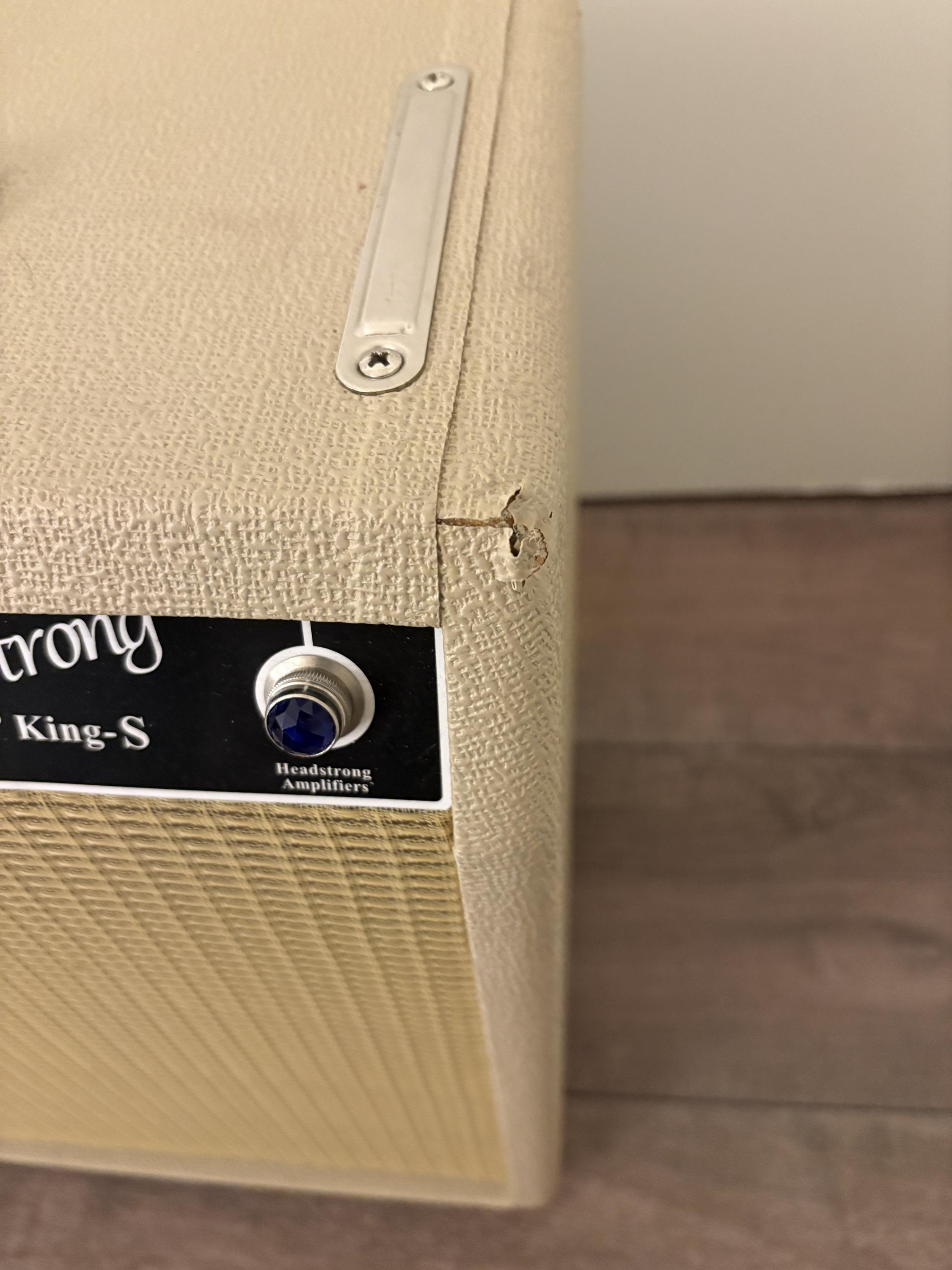 50 - Headstrong Lil' King S 12 Inch Speaker 25W Combo Amp 1964 Princeton Copy-img_9651-jpg
