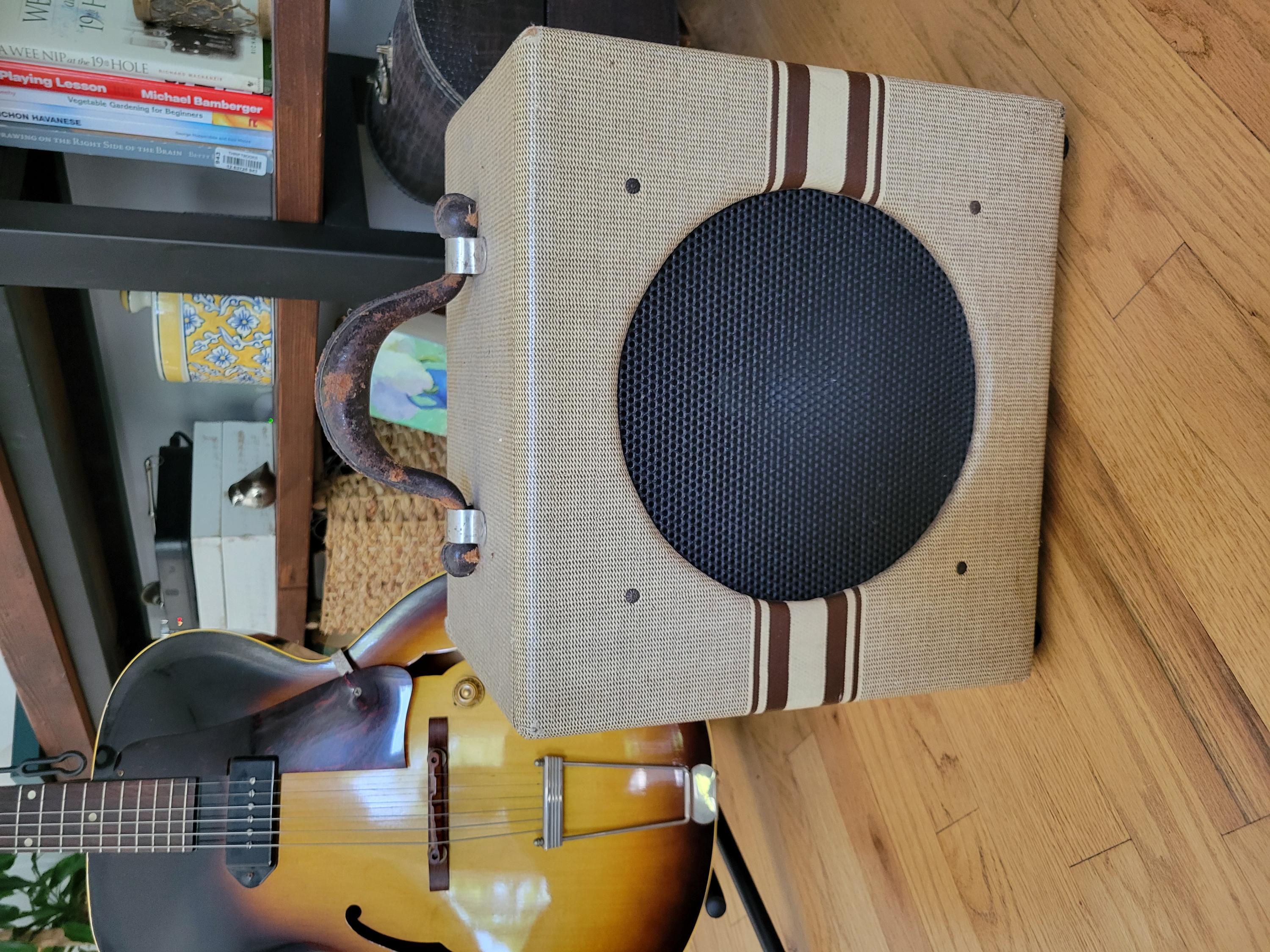 EH-100/ Recording King Model 1022 Tube Amp (made by Gibson)-20260724_142059-jpg