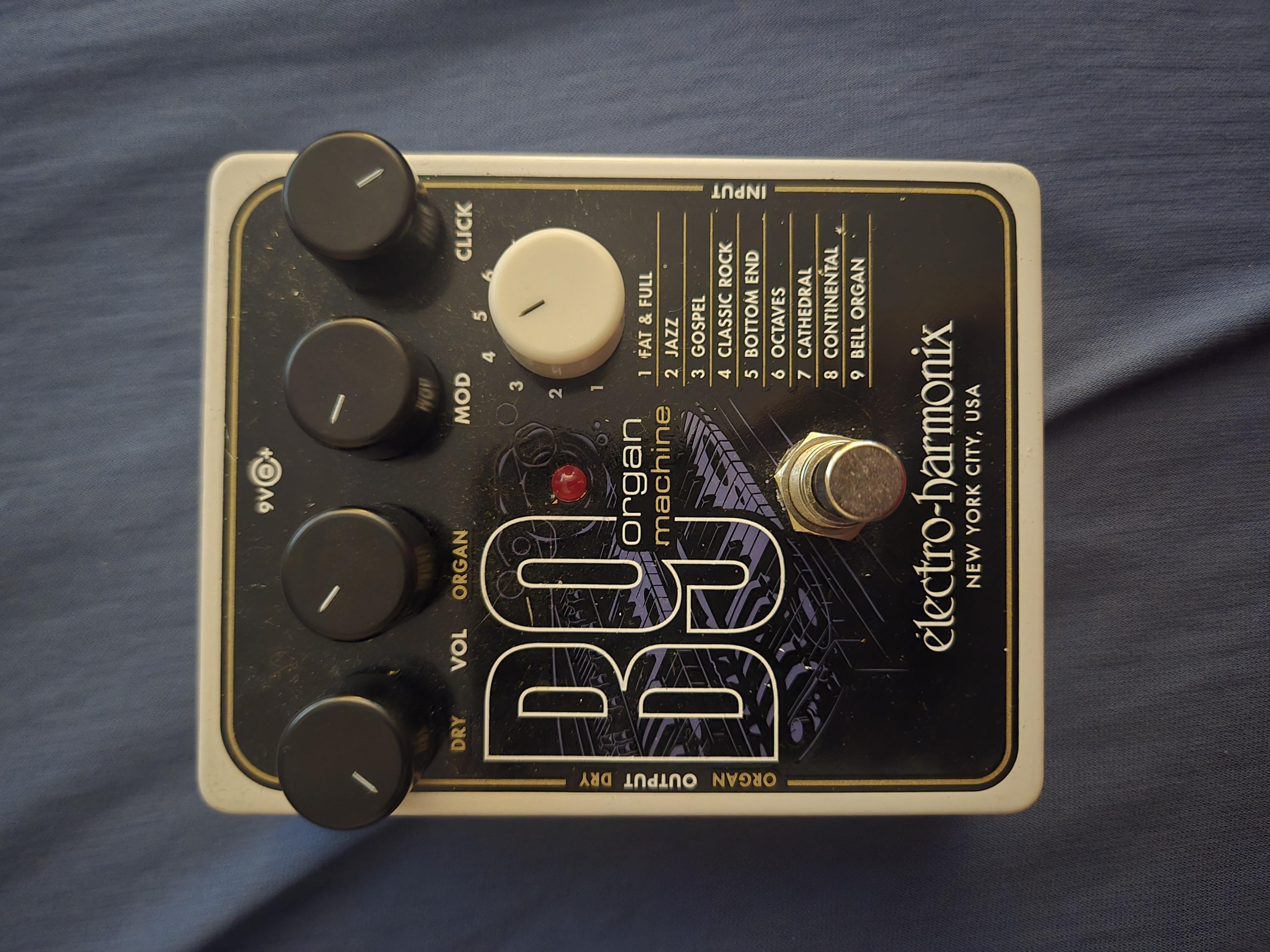 Fancy picks and pedals-20260727_121154-jpg