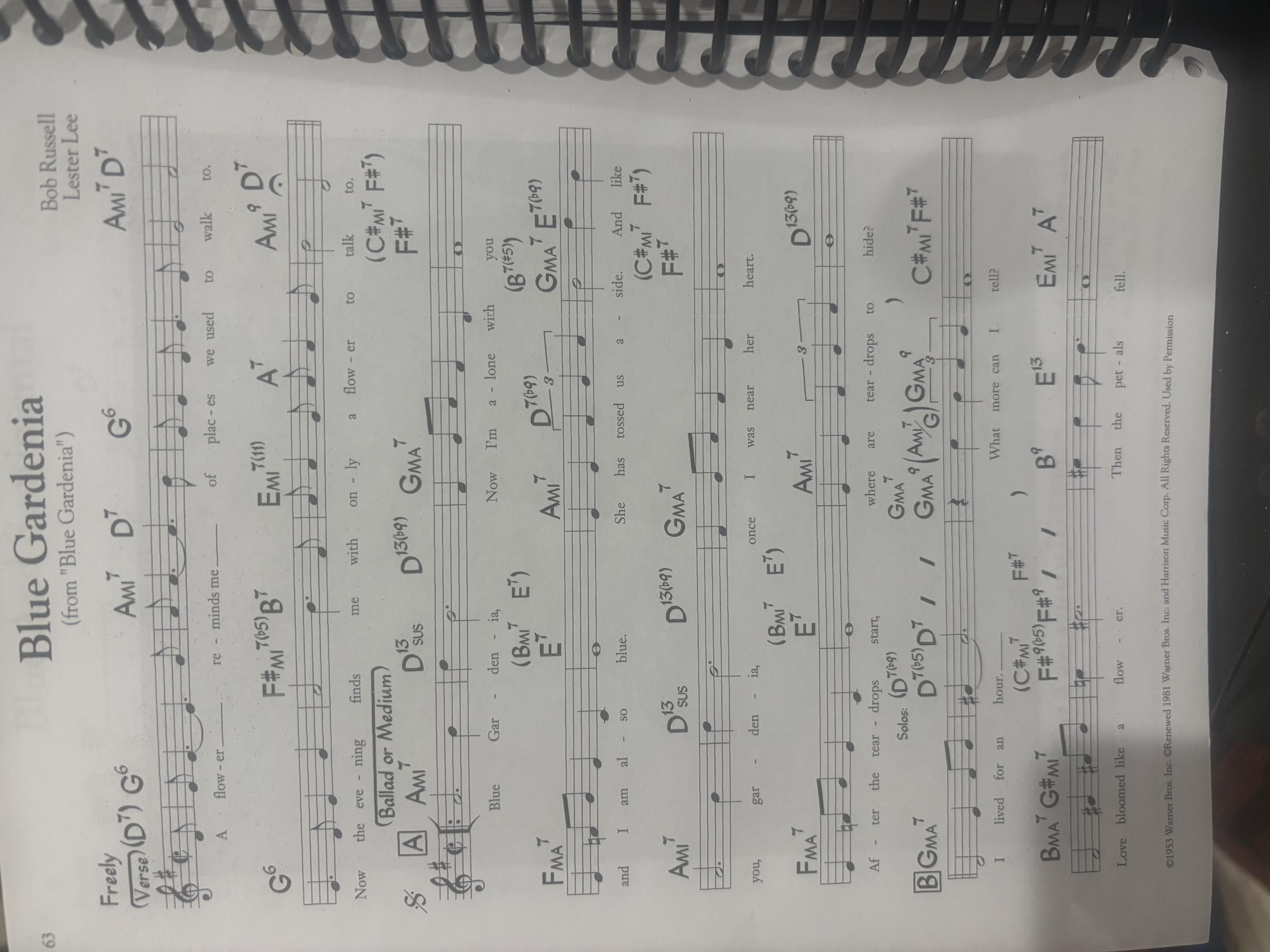 Rando GASB lead sheet questions-img_3291-jpg