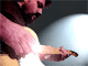prairietelecaster's Avatar