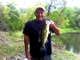 Velvet Catfish's Avatar