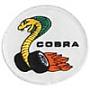 Cobra's Avatar