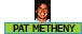 Pat Metheny