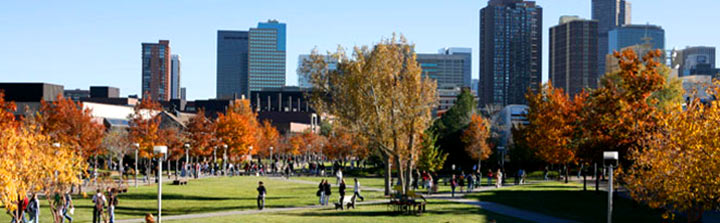 University of Colorado Denver